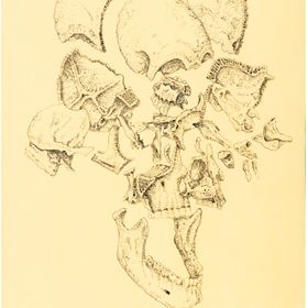 Skull,2018 Ink on paper, framed 75 x 52 cm